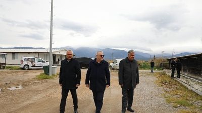 Edremit Belediyesi, sokak hayvanlarının yaşam kalitesini artırmak amacıyla hayata geçirdiği