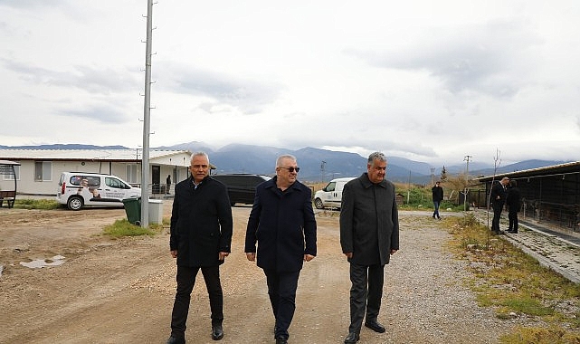 Edremit Belediyesi, sokak hayvanlarının yaşam kalitesini artırmak amacıyla hayata geçirdiği