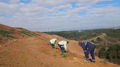 Çevre konusunda duyarlı çalışmalara imza atan Kocaeli Büyükşehir Belediyesi, kentin