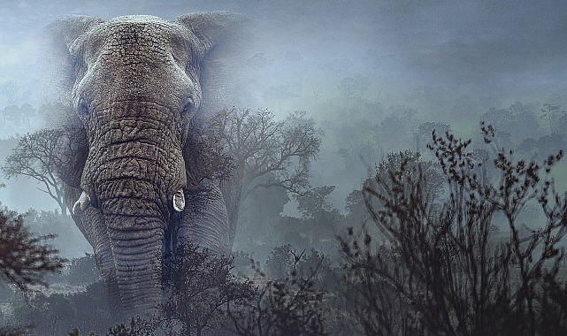 Efsanelere göre Angola’nın yüksek dağlık bölgelerinde, bugüne dek insan gözüyle