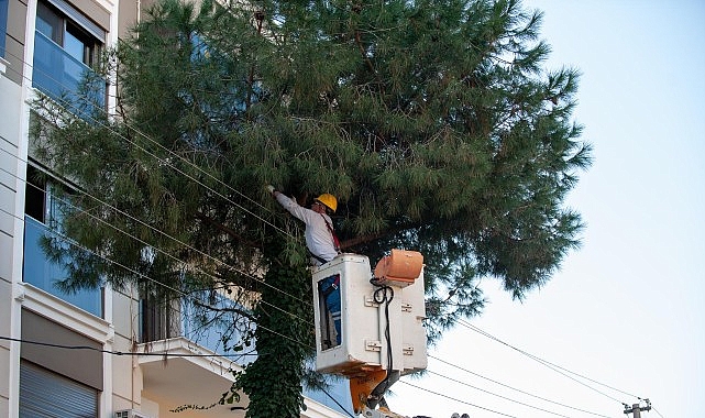Karşıyaka Belediyesi, kent genelindeki ağaç varlığının sağlıklı gelişimini desteklemek amacıyla
