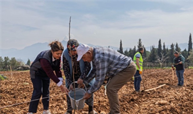 Kemalpaşa’da ceviz ağaçları kesilen 70 yaşındaki çiftçi Ahmet Kemal Kahya’nın