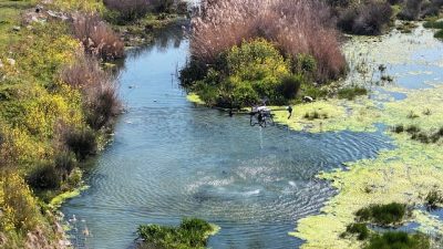 Manisa Büyükşehir Belediyesi, kent genelinde sivrisinek ve diğer zararlılara karşı