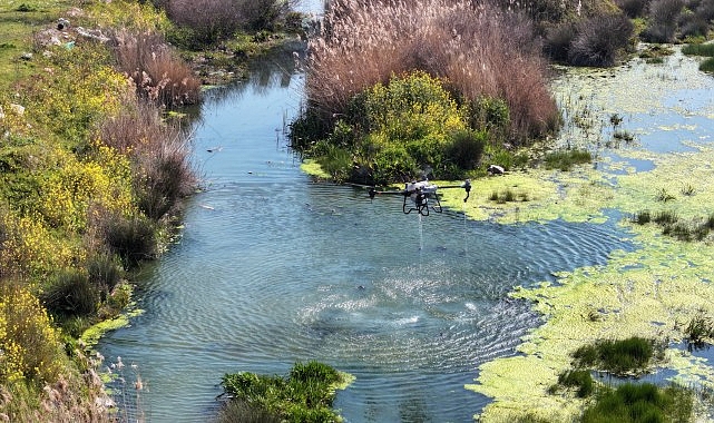 Manisa Büyükşehir Belediyesi, kent genelinde sivrisinek ve diğer zararlılara karşı