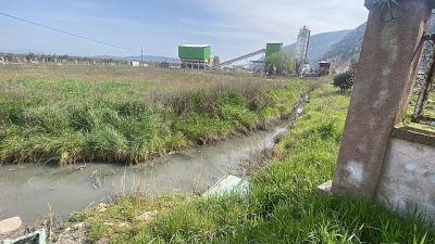 Manisa Büyükşehir Belediyesi İklim Değişikliği ve Sıfır Atık Dairesi Başkanlığı