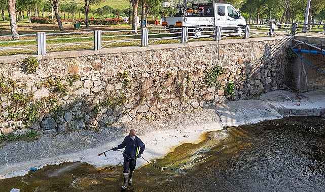 İzmir Büyükşehir Belediyesi, baharda artan ve sivrisinekle karıştırılan mevsimsel sineklerin