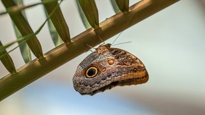 Selçuklu Belediyesi, vatandaşların rahat ve huzur içerisinde bir bayram geçirmelerini