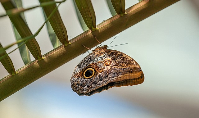 Selçuklu Belediyesi, vatandaşların rahat ve huzur içerisinde bir bayram geçirmelerini