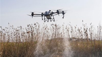 İzmir Büyükşehir Belediyesi, kent genelinde sivrisinek başta olmak üzere hastalık