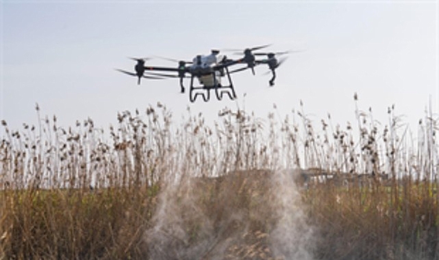 İzmir Büyükşehir Belediyesi, kent genelinde sivrisinek başta olmak üzere hastalık