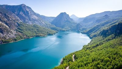 TEMA Vakfı, Dünya Ormancılık Günü ve Orman Haftası ile Dünya