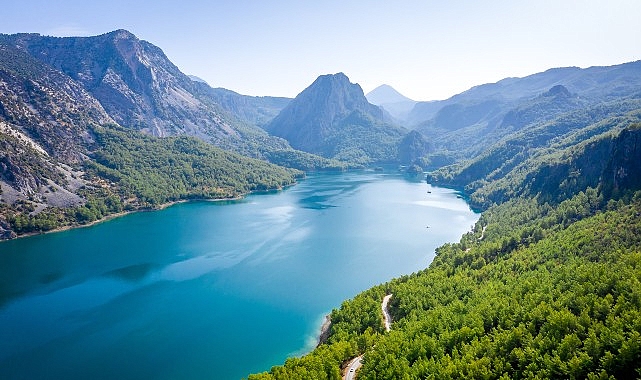 TEMA Vakfı, Dünya Ormancılık Günü ve Orman Haftası ile Dünya