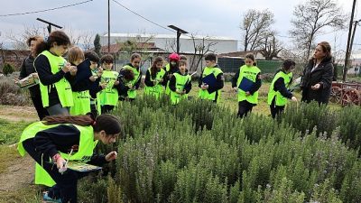 Nilüfer Belediyesi’nin düzenlediği “Bostan Kaşifleri” projesiyle toprakla bağ kuran 15