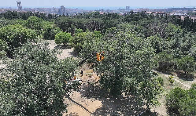 Avrupa Birliği destekli European Heritage Hub tarafından yürütülen “Kültürel Miras