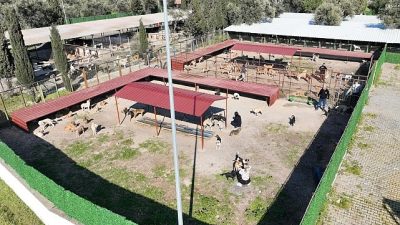 Burhaniye Belediyesi Alida Nedim Erarslan Sokak Hayvanları Bakımevi/Doğal Yaşam Alanı,