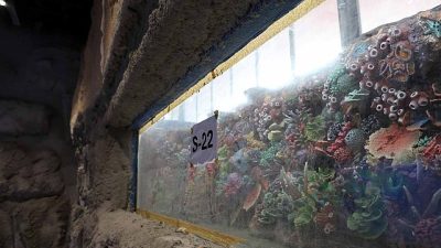 Kocaeli Büyükşehir Belediyesi tarafından kente kazandırılacak “Akvaryum Projesi’nde” geri sayım