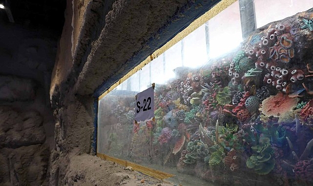 Kocaeli Büyükşehir Belediyesi tarafından kente kazandırılacak “Akvaryum Projesi’nde” geri sayım