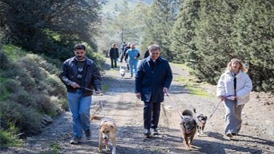 İzmir Büyükşehir Belediyesi, 4 Nisan Dünya Sokak Hayvanları Günü’nde bakımevlerinde
