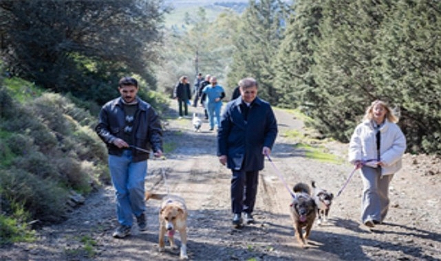 İzmir Büyükşehir Belediyesi, 4 Nisan Dünya Sokak Hayvanları Günü’nde bakımevlerinde