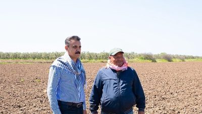 Dikili Belediye Başkanı Adil Kırgöz, ilçenin bereketli topraklarında yeni üretim