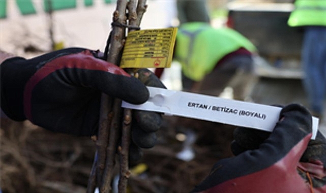 İzmir Büyükşehir Belediyesi, Beydağlı çiftçilerin ekonomik risklerini azaltmaya yönelik iki