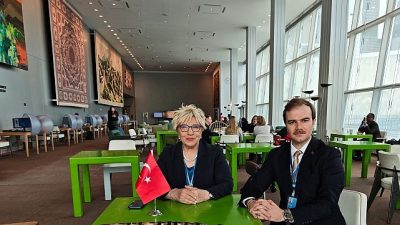 Birleşmiş Milletler Ekonomik ve Sosyal Konseyi (United Nations Economic and