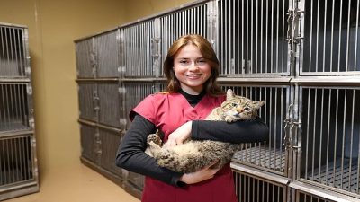 Buca’da son iki yılda 599 sokak hayvanı sıcacık bir yuvaya