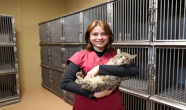 Buca’da son iki yılda 599 sokak hayvanı sıcacık bir yuvaya