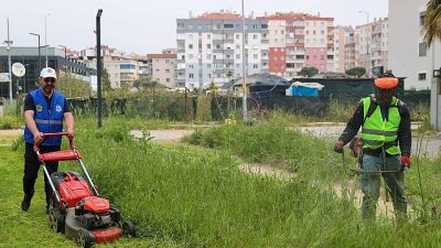 Buca Belediyesi, baharın gelişiyle birlikte 47 mahallede eş zamanlı yabani