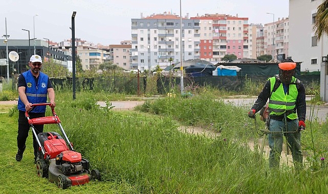 Buca Belediyesi, baharın gelişiyle birlikte 47 mahallede eş zamanlı yabani