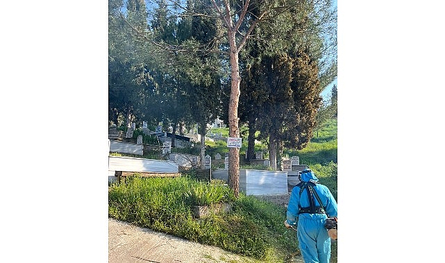 Kocaeli Büyükşehir Belediyesi, kent genelindeki mezarlıklarda temizlik, ot biçme, bakım