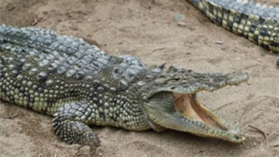 23 Nisan Ulusal Egemenlik ve Çocuk Bayramı’nın coşkusu İzmir Büyükşehir