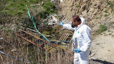 Çankaya Belediyesi havaların ısınmasıyla birlikte vektör (hastalık taşıyan canlılar) mücadelesini