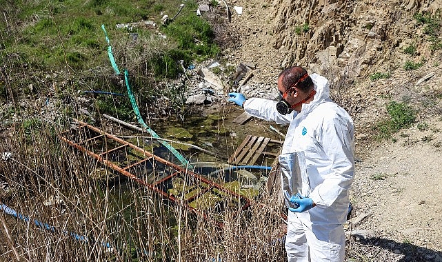 Çankaya Belediyesi havaların ısınmasıyla birlikte vektör (hastalık taşıyan canlılar) mücadelesini