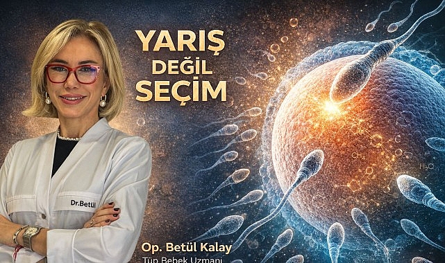 Son sözü yine kadın söylüyor. Spermler yumurtayı döllemek için yarışa