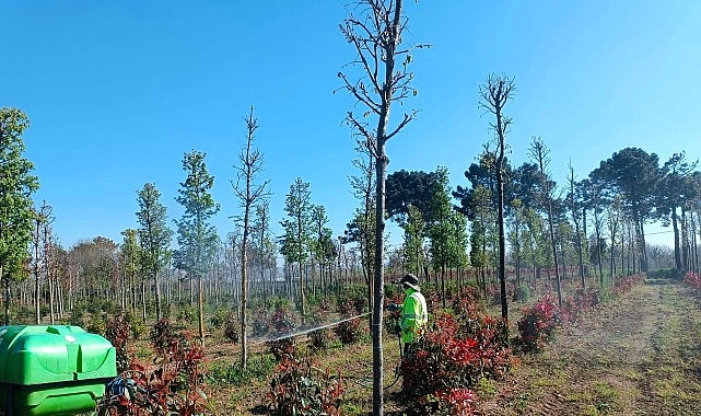 Kocaeli Büyükşehir Belediyesi, üretim fidanlığındaki fidanların sağlıklı gelişimini desteklemek amacıyla