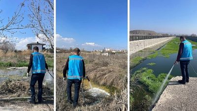 Kahramankazan Belediyesi Veteriner İşleri Müdürlüğü ekipleri, baharın gelmesiyle birlikte artış