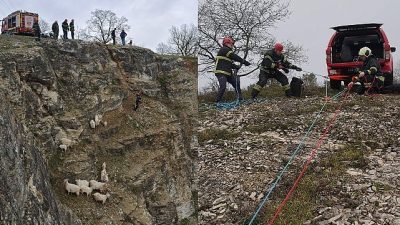 Kocaeli Büyükşehir İtfaiyesi, sadece yangınlara müdahale etmekle kalmıyor, aynı zamanda
