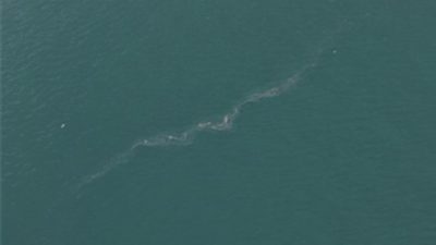 İzmir Büyükşehir Belediyesi’nin dron destekli rutin taramalarında, İzmir Körfezi’nde Karşıyaka