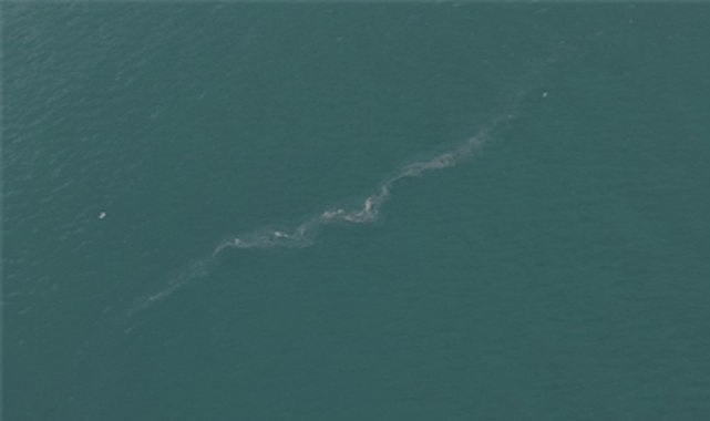 İzmir Büyükşehir Belediyesi’nin dron destekli rutin taramalarında, İzmir Körfezi’nde Karşıyaka