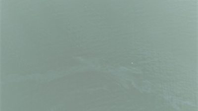 İzmir Büyükşehir Belediyesi tarafından İzmir Körfezi’nde  yapılan rutin dron taramaları