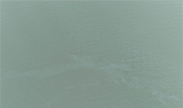 İzmir Büyükşehir Belediyesi tarafından İzmir Körfezi’nde  yapılan rutin dron taramaları