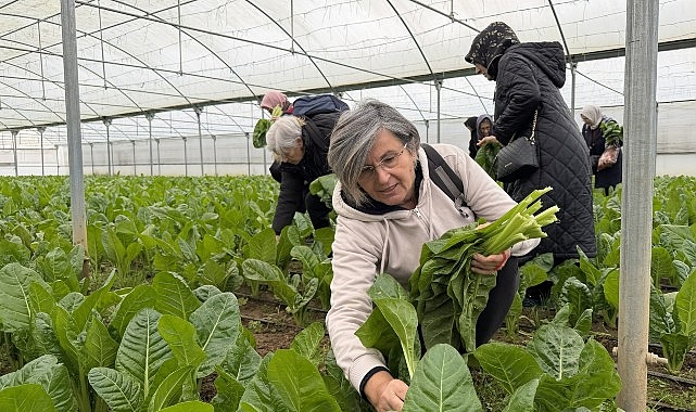Kocaeli Büyükşehir Belediyesi’nin İzmit Saat Kulesi yanında hizmete sunduğu “İzmit