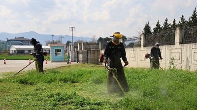 Gerçekleştirilen çalışmalar doğrultusunda, bahar aylarıyla birlikte hızla büyüyen yabani otlar