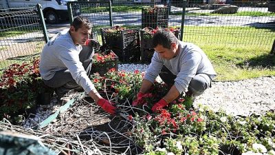 Kemer Belediyesi Park ve Bahçeler Müdürlüğü ekipleri, turizm sezonu öncesinde