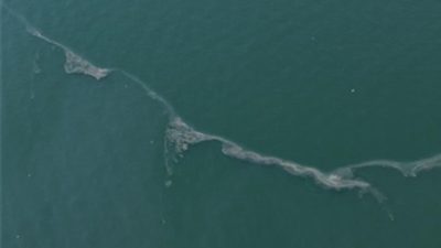 İzmir Büyükşehir Belediyesi’nin dron destekli rutin taramalarında, kasım ayından bu