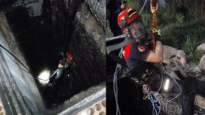 İzmir’de 20 metrelik kuyuya düşen kuzu, itfaiye ekiplerinin titiz ve