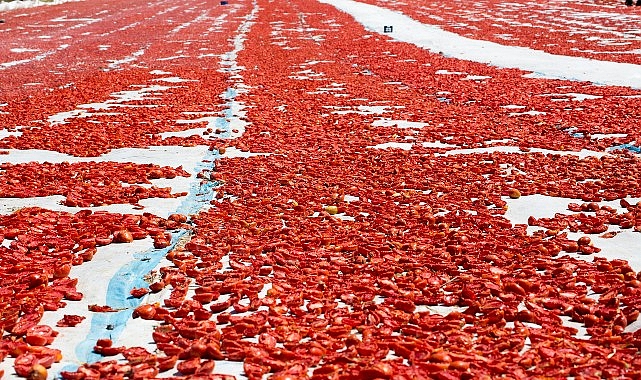 Türkiye, 2026 yılının ilk çeyreğinde 511 milyon dolarlık meyve sebze