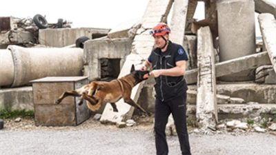 İzmir Büyükşehir Belediyesi İtfaiyesi K9 Birimi, Pako Sokak Hayvanları Kampüsü’nden