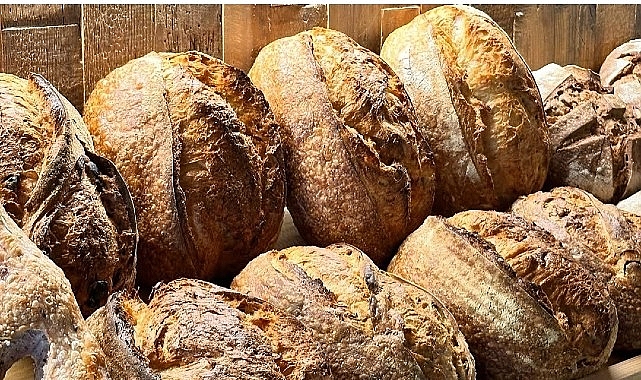 Çanakkale’nin Ayvacık ilçesine bağlı Yeşilyurt Köyü, doğal dokusu ve tarihi